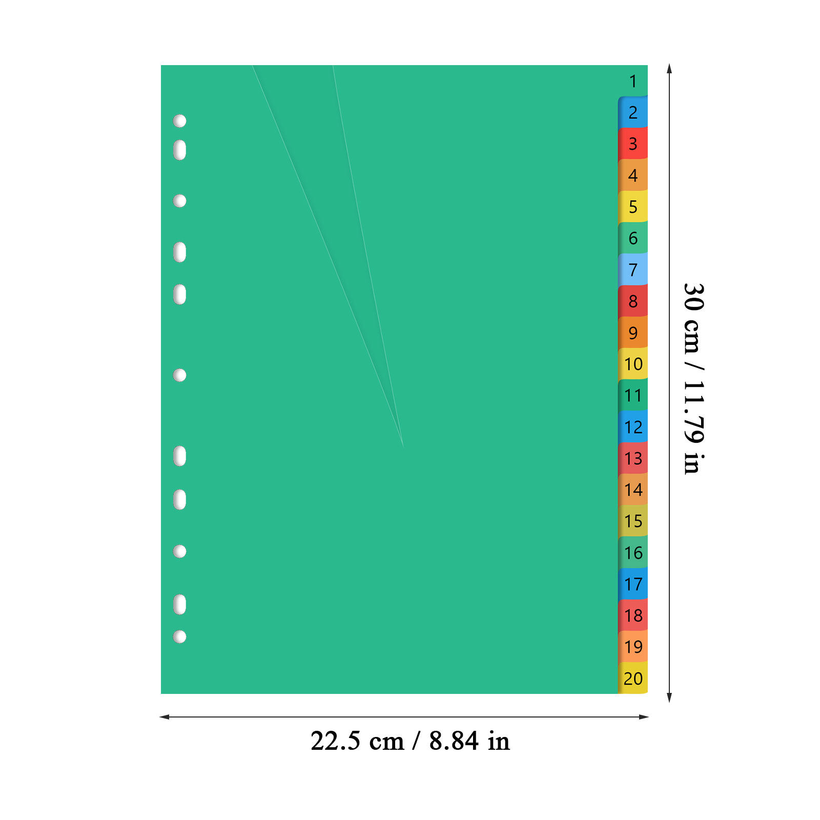 20 Pages A4 Size Color Coded P - đánh giá và giá Tab Divider A4