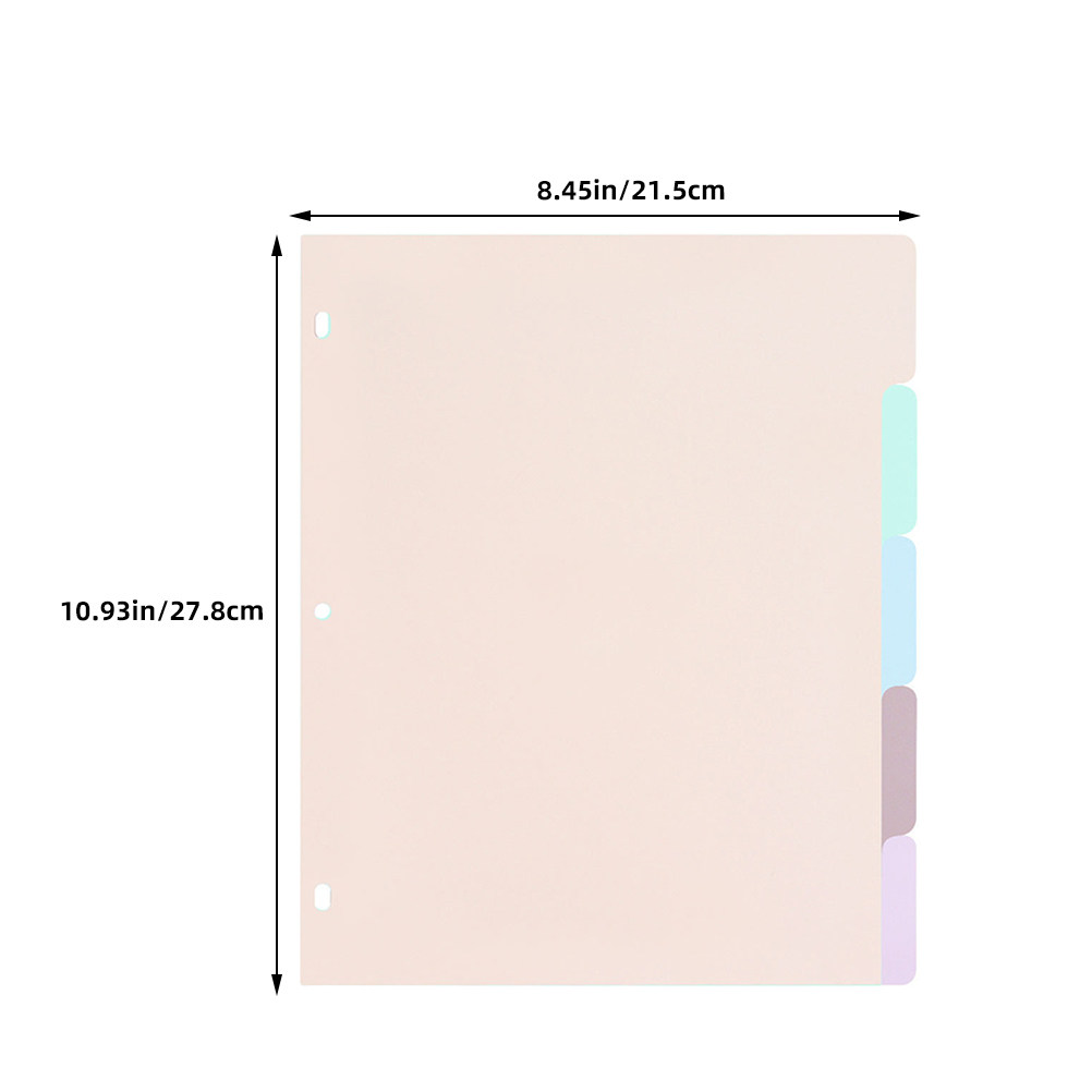 1Set Frosted PP A4 Binder Divi - đánh giá và giá Tab Divider A4